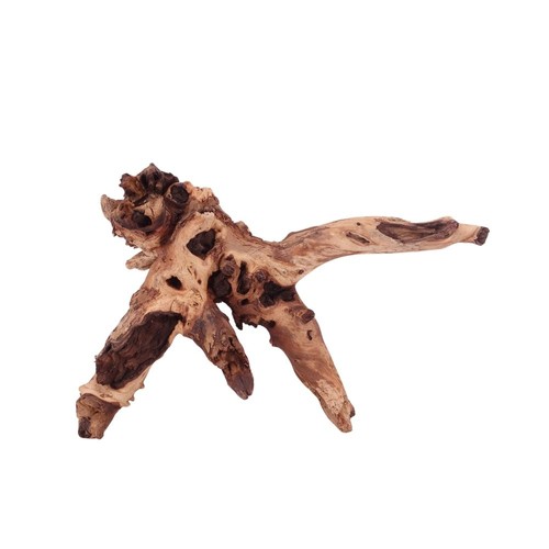 Radice acquario decorazione - radice,