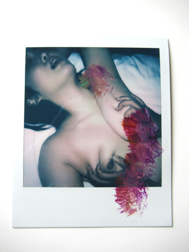 Araki polaroid originale - araki:,