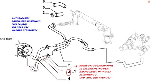 46807748 manicotto scambiatore - 46807748,