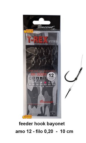 Ami legati rex - ami,