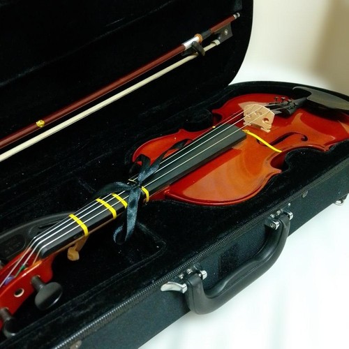 Bellissimo articolo violino - !bellissimo, articolo!violino