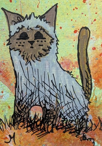 Quadro gatto aceo - quadro,