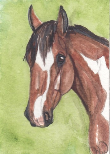 Aceo originale acquerello art - aceo,