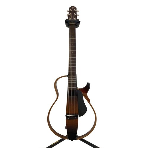 Chitarra elettrica acustica