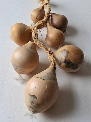 Cipolle rustiche legno da - in,