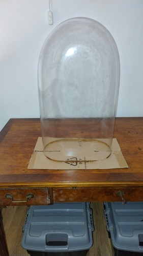 Campana vetro ovale - campana,