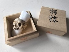 Memento mori Vanitas Skull