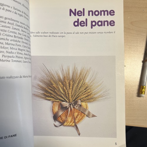 Grande libro delle - il,