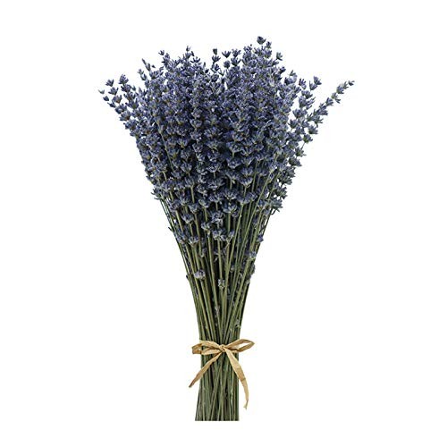 Coolcrafts lavanda essiccata - lavanda,