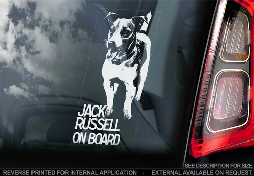 Adesivo auto jack russel - adesivo,