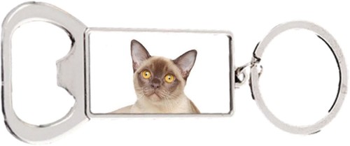 Burmese cat pet rectangle - burmese,