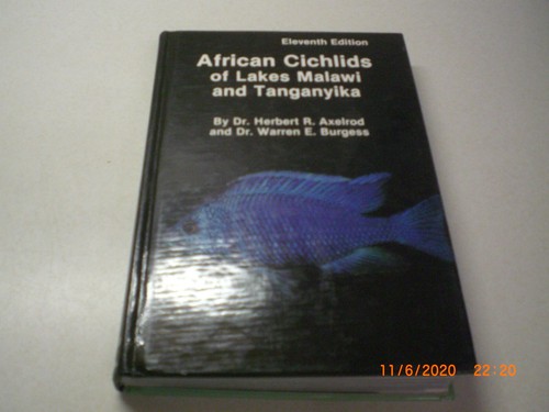 African cichlids lakes - cichlids, of