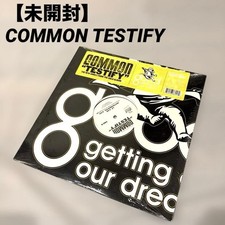 Disco vinile testimoniato