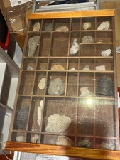 Set Box Con Vari Minerali