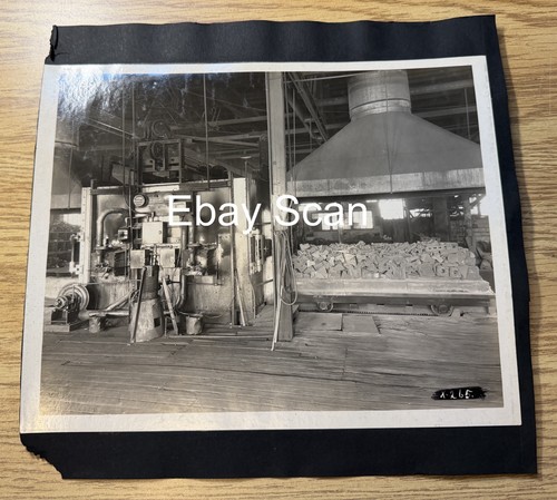 Antiche fotografie 8x10 - fotografie,