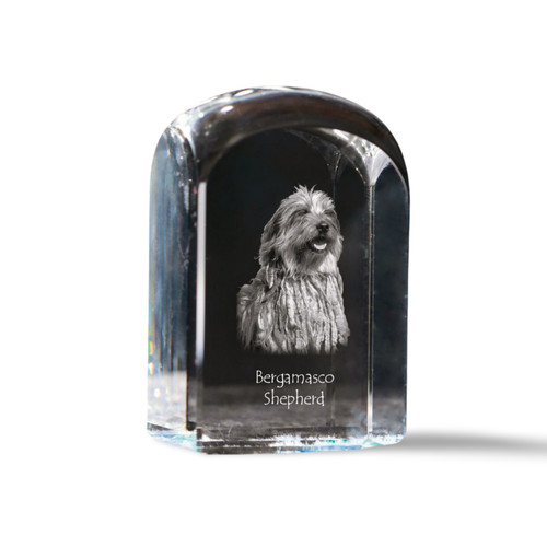 Cane pastore bergamasco - cane, da