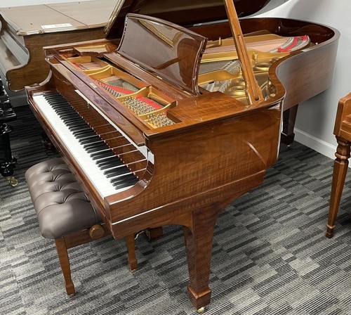 Pianoforte coda steinway a - pianoforte,
