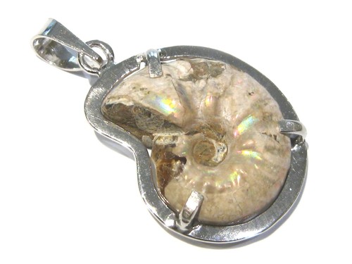 Ciondolo ammonite madreperla - ciondolo,