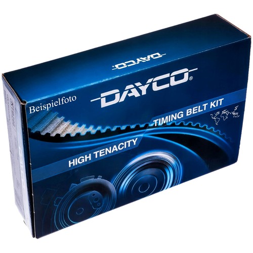 Kit cinghia distribuzione - cinghia,