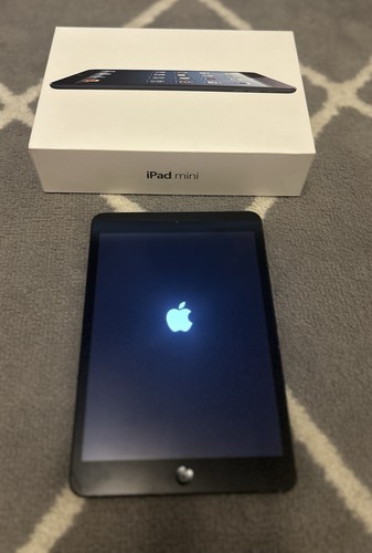 Apple ipad mini generazione - apple,