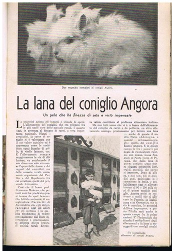 Arturo marescalchi la lana - arturo,