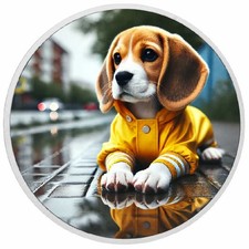 Rainy Day Explorer 1 oz moneta