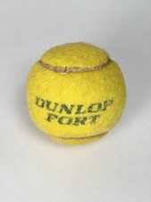 Pallina Tennis Dunlop Fort