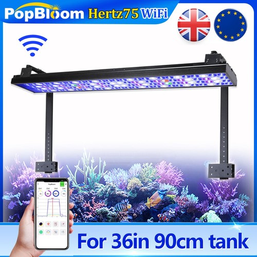 Popbloom acquario marino - popbloom,