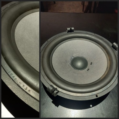 Woofer singolo seas h336 - singolo,