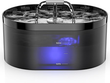 Fontanella per Gatti, Fontana