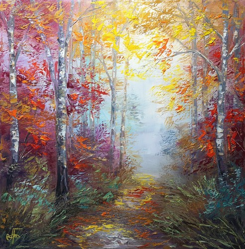 Sentiero foresta betulla