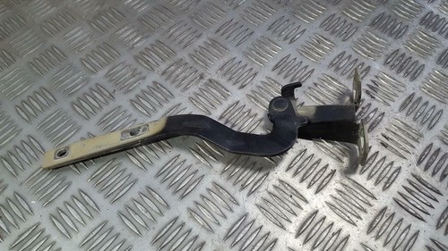 Cerniera cofano - ,