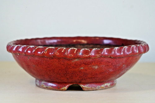 Vaso per bonsai giapponese