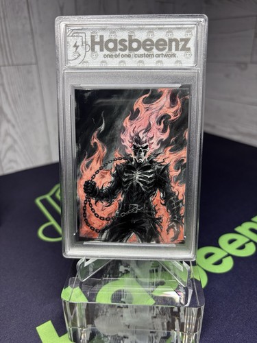 2025 hasbeenz ghost rider - hasbeenz, ii