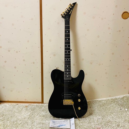 Fernandes tej 55g - fernandes,