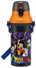 Skater Children's Water Bottle