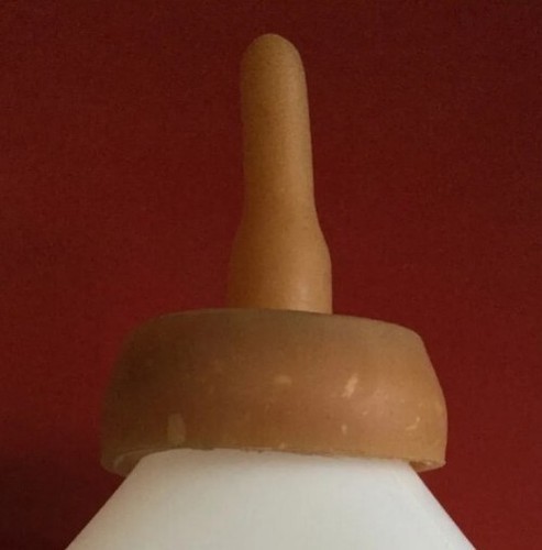 Due tettarelle per - ,