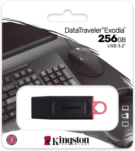 Pendrive usb 256gb kingston - 256gb,