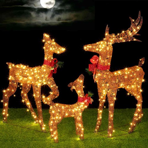 Famiglia renne luminose - 3, di