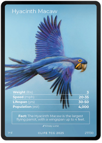 Life tcg birds hyacinth - life,