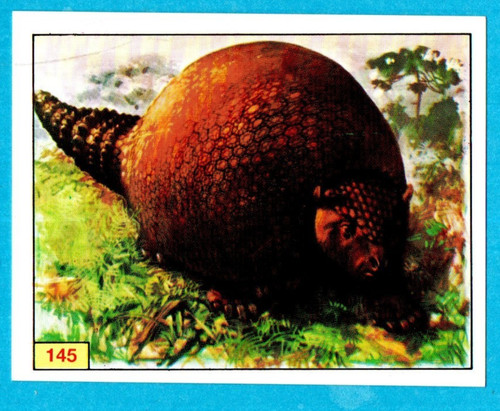 DINOSAURS/ANIMALI