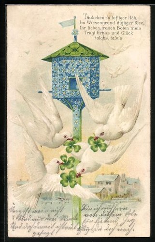 Cartolina colombe bianche - colombe, alla