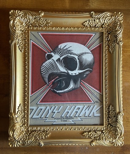 Quadro tony hawk - tony, powell