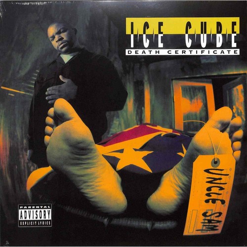 Ice cube death certificate - ice,