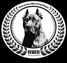 POSTER LOCANDINA ADESIVO QUADRO IMMAGINE MANIFESTO - DOG CANE CORSO DOGO CANARIO