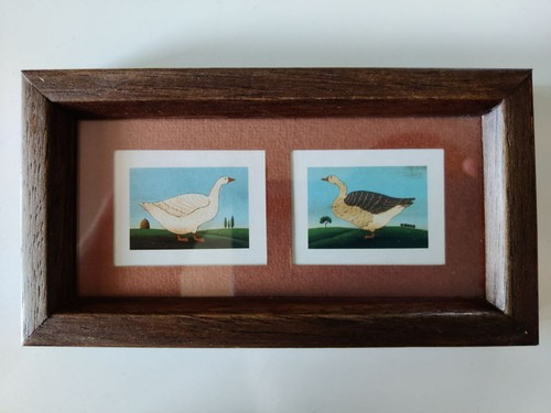 Quadro piccolo con oche