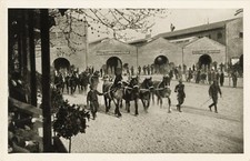 Concorso internazionale belga di cavalli da tiro pesante. 1928, Milano.