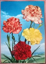 CARTOLINA TEMATICA FIORI