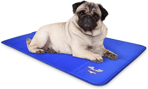 Arf pets dog cat - dog,