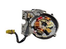 GRUPPO MAGNETE ALTERNATORE